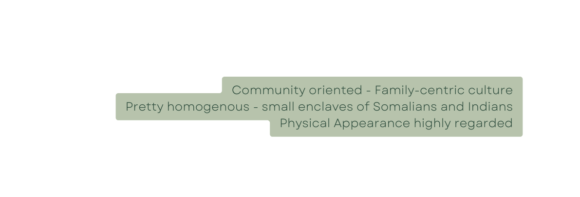 Community oriented Family centric culture Pretty homogenous small enclaves of Somalians and Indians Physical Appearance highly regarded